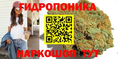 эйфоретик Краснокаменск