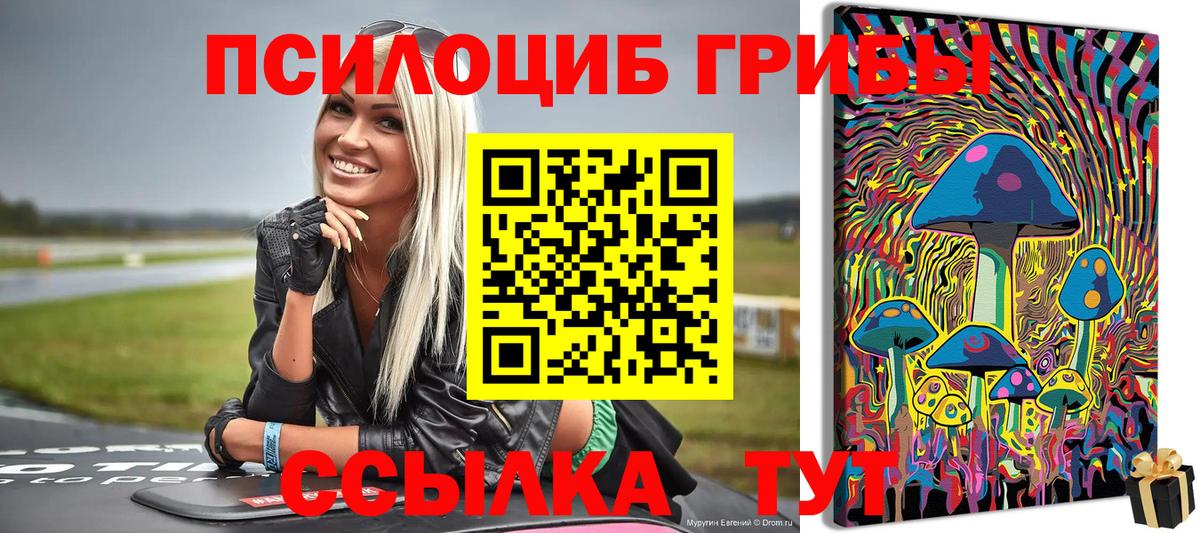 Псилоцибиновые грибы GOLDEN TEACHER  Псилоцибиновые грибы ЛСД  Вход с VPN  Касимов 